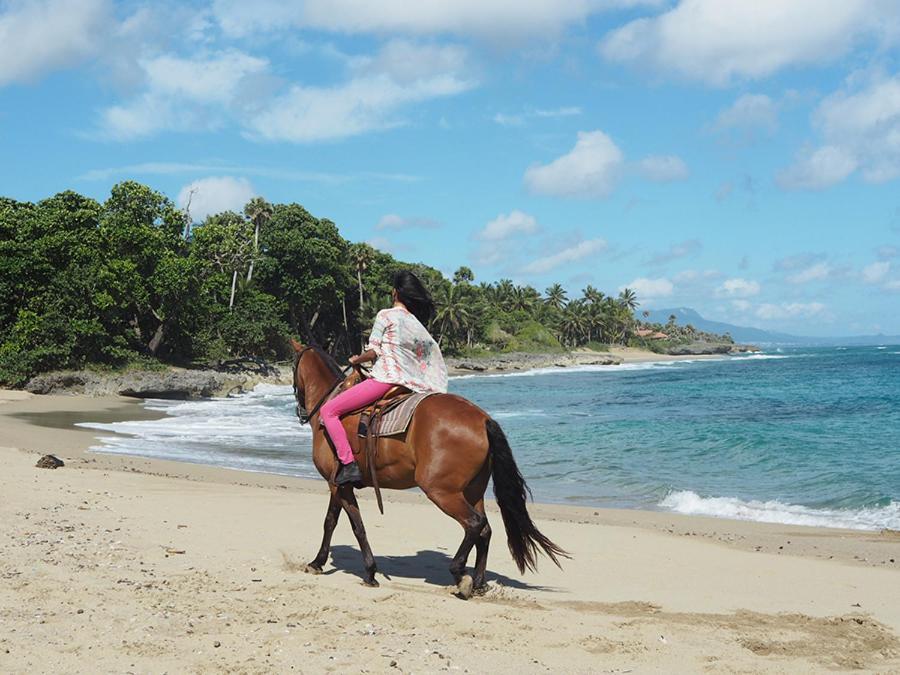 فيلا Sea Horse Ranch La Mulata المظهر الخارجي الصورة