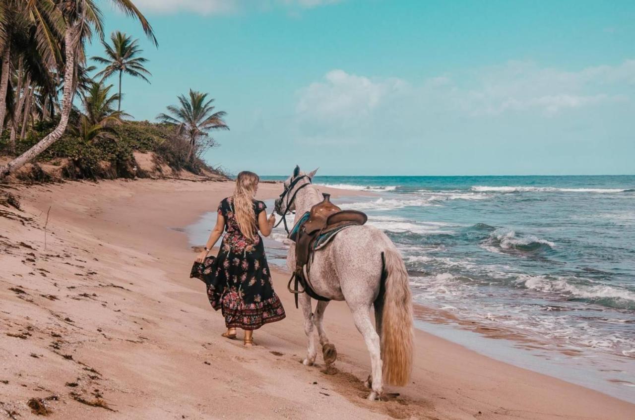 فيلا Sea Horse Ranch La Mulata المظهر الخارجي الصورة